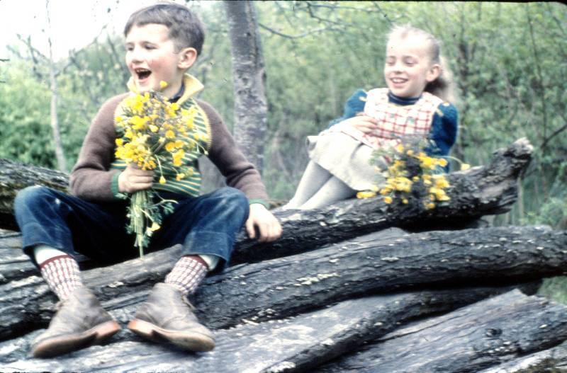 60er Jahre Bild Nr.045